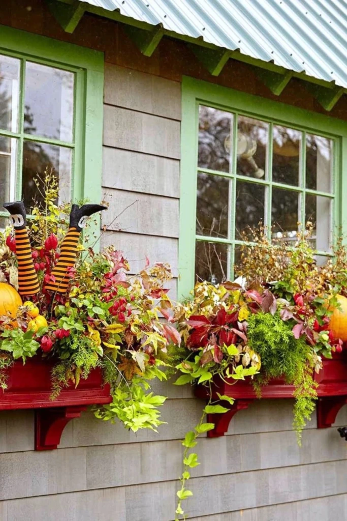 Fall Festive