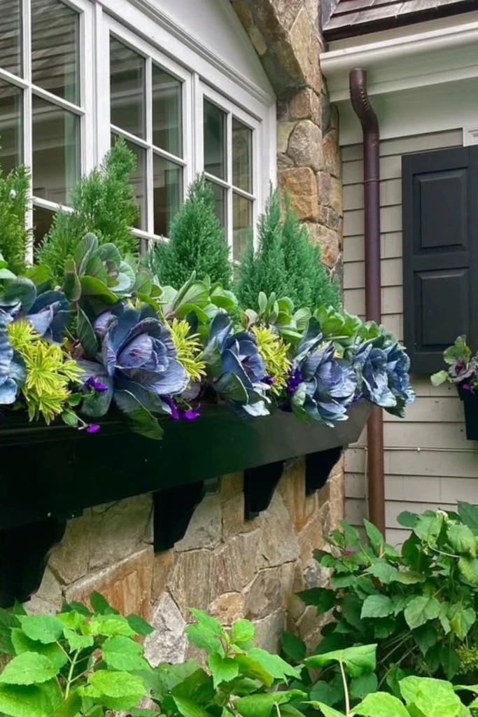 Edible Elegance