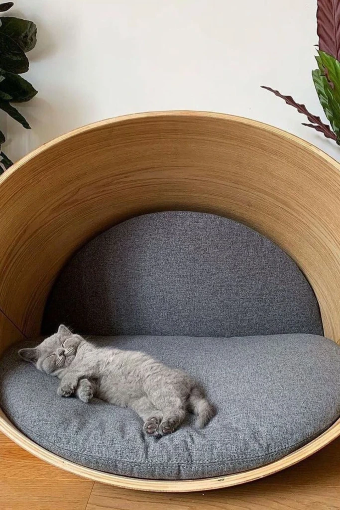 Modern Cat Pod