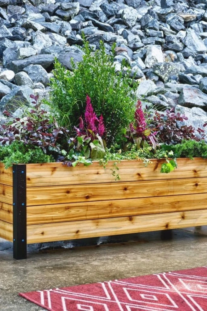 Raised Planter Box