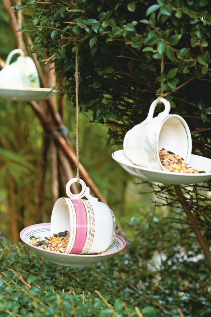 Teacup Feeders