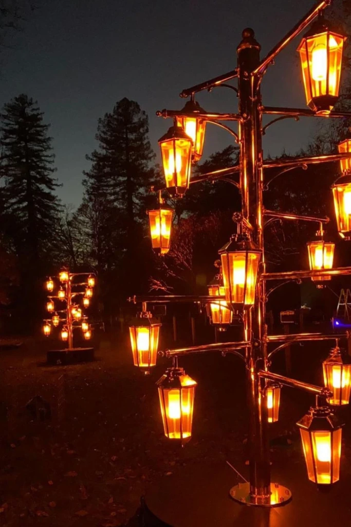 Lantern Trees