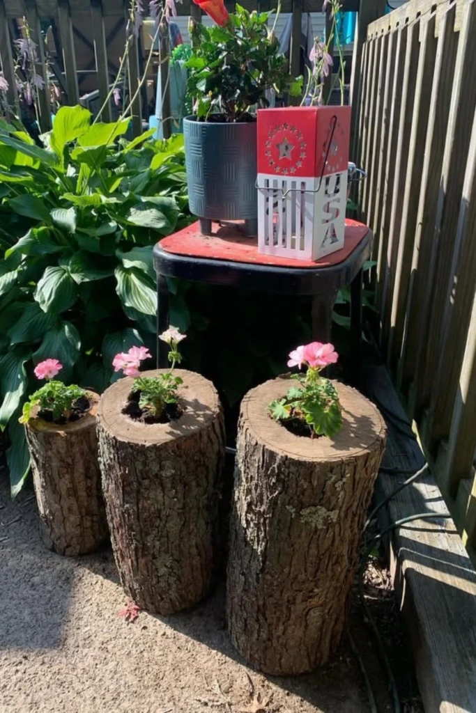 Log Planters