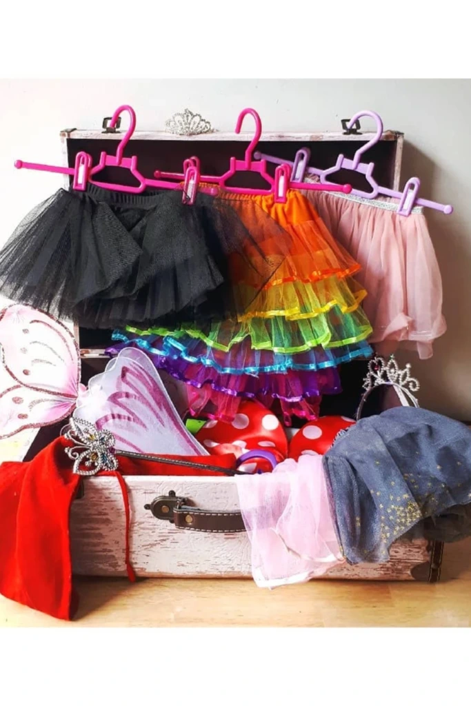 Dresser Trunk Storage with Mini Hanging Bar