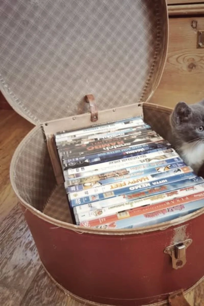 Vintage Suitcase Storage