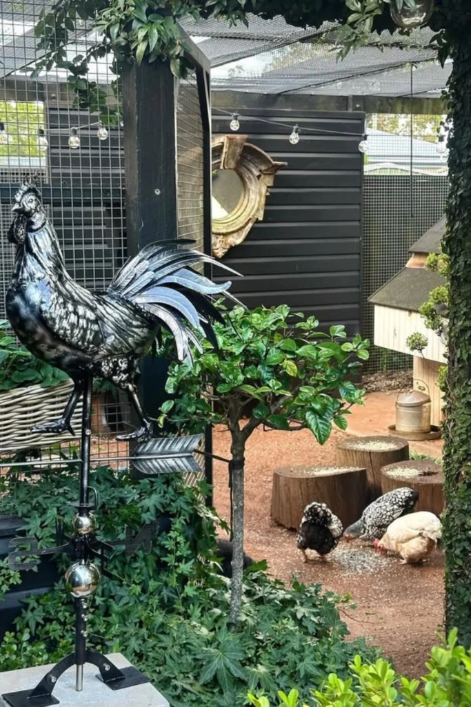 Garden Oasis