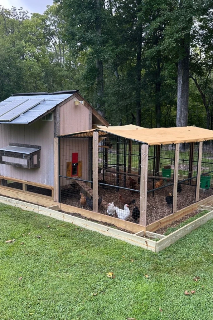 Large Farmyard