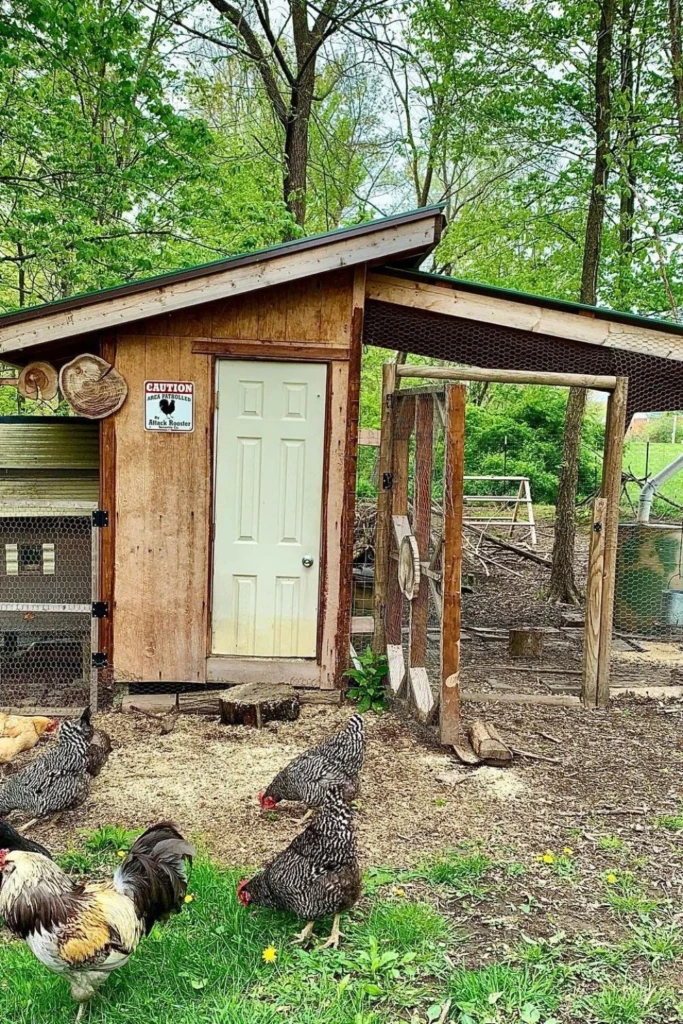 Rustic Woodshed