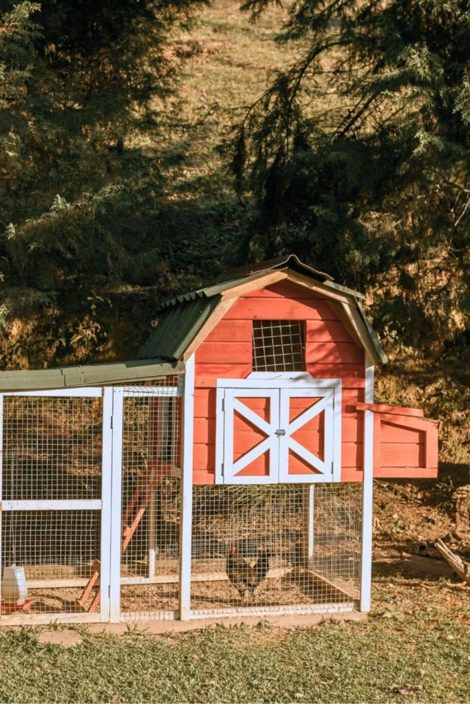 Red Barn Coop