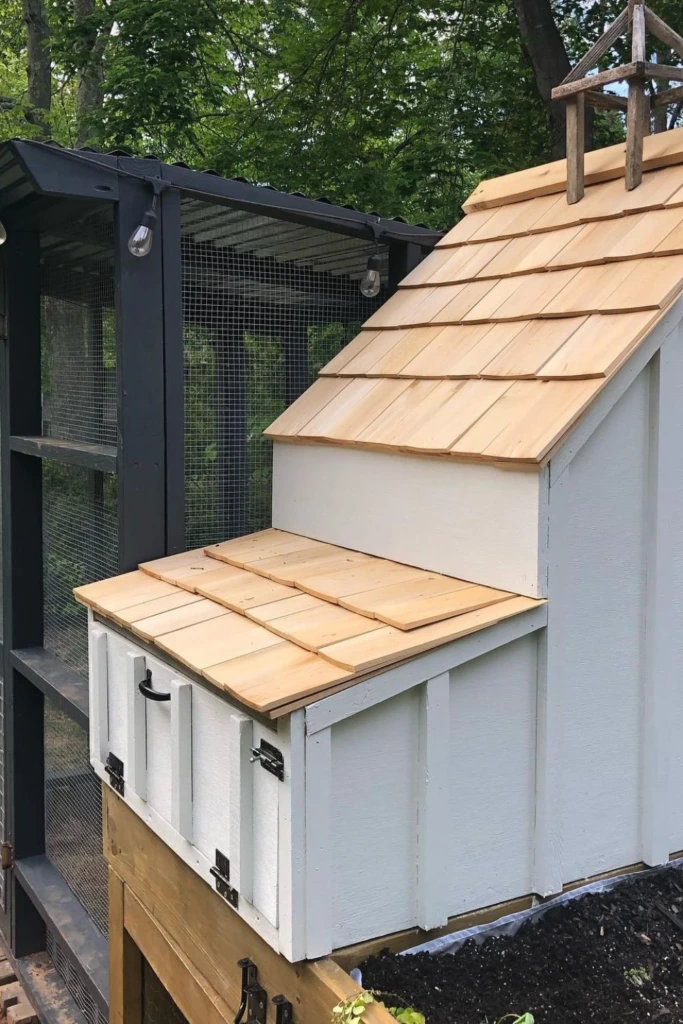 Two-Tone Coop