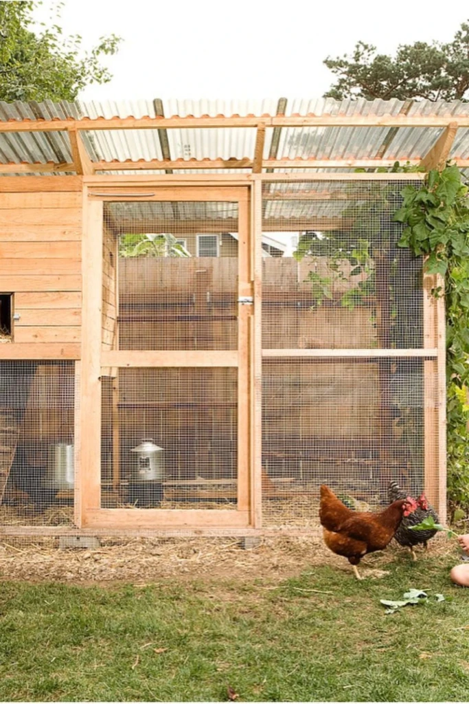 Urban Homestead