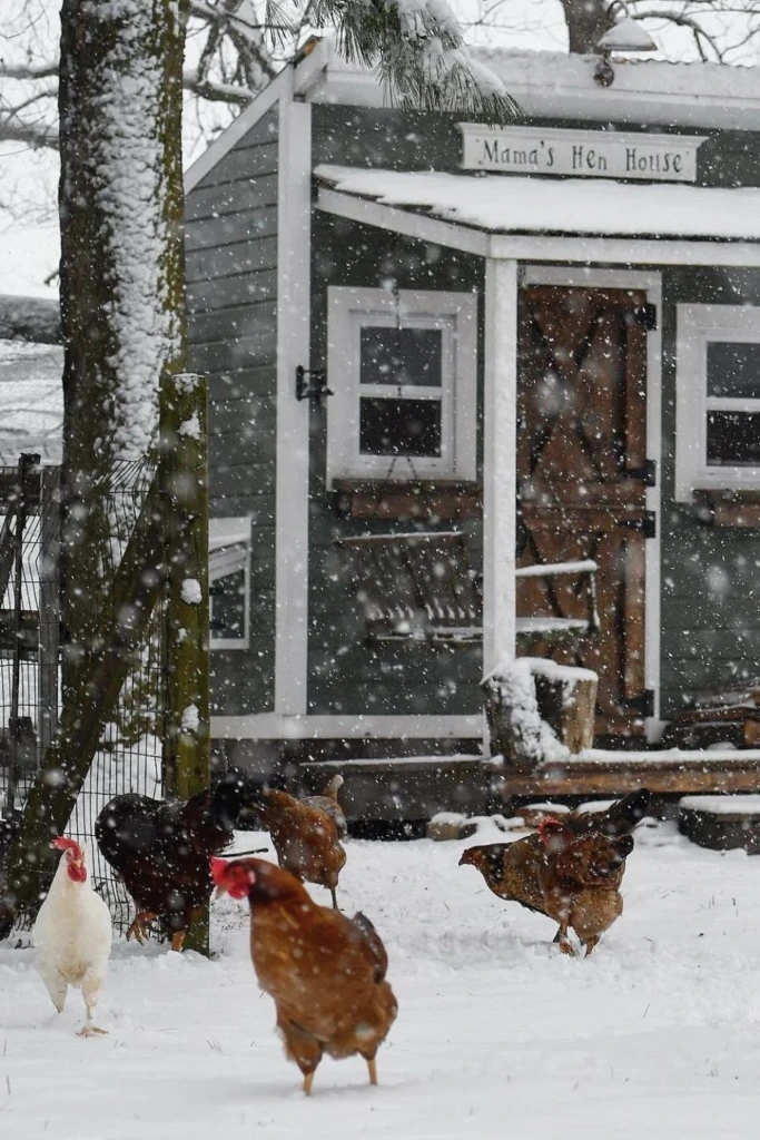 Winter Farmhouse