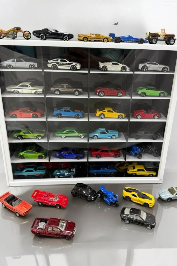 Compact Display Case