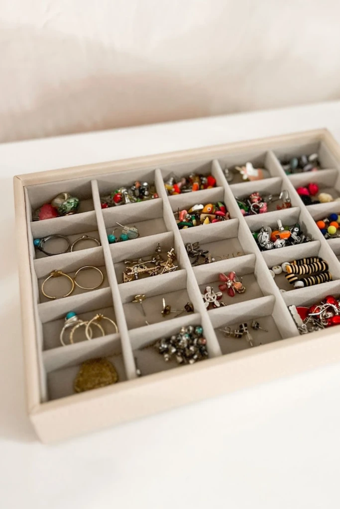 Compartment Tray Organizer