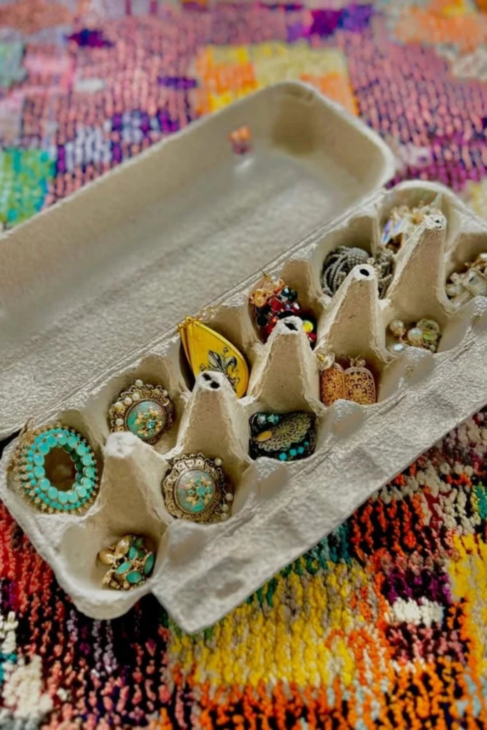 Egg Carton Organizer