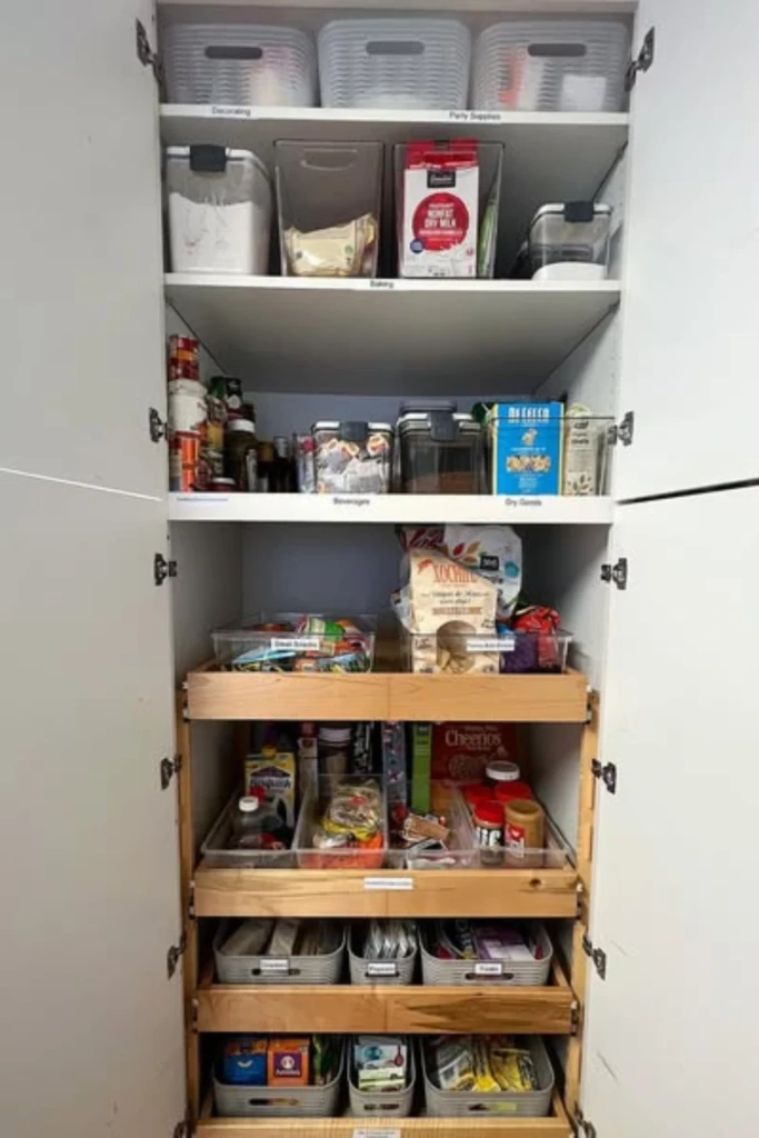 Pull-Out Shelf System