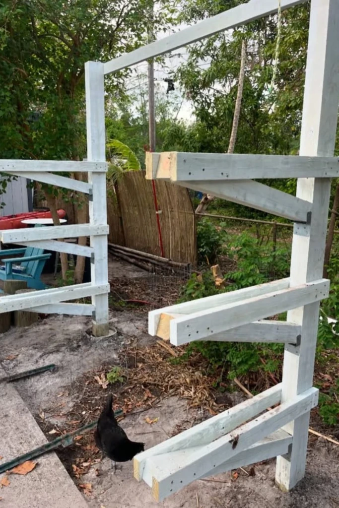 Painted Paddle Rack