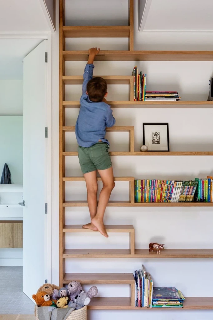 Library Ladder