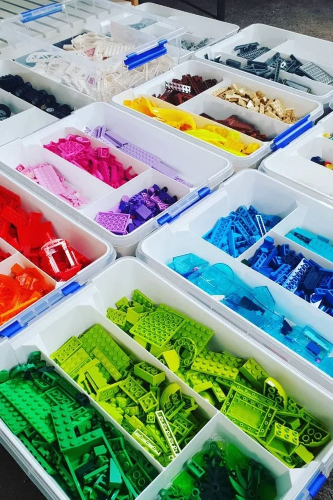 Divided Storage Tubs