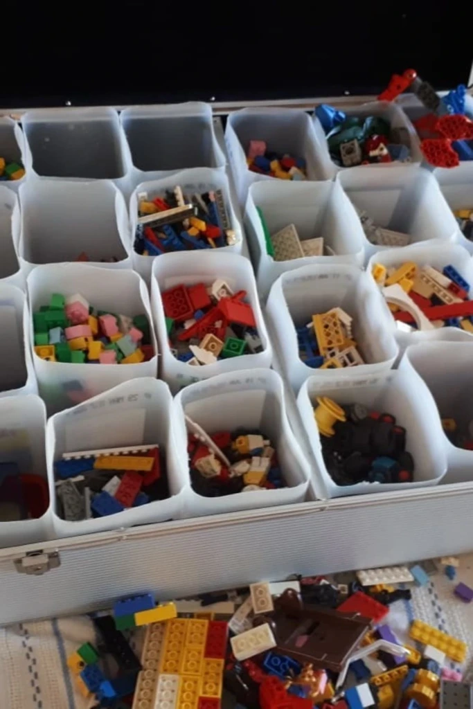 Compartment Case