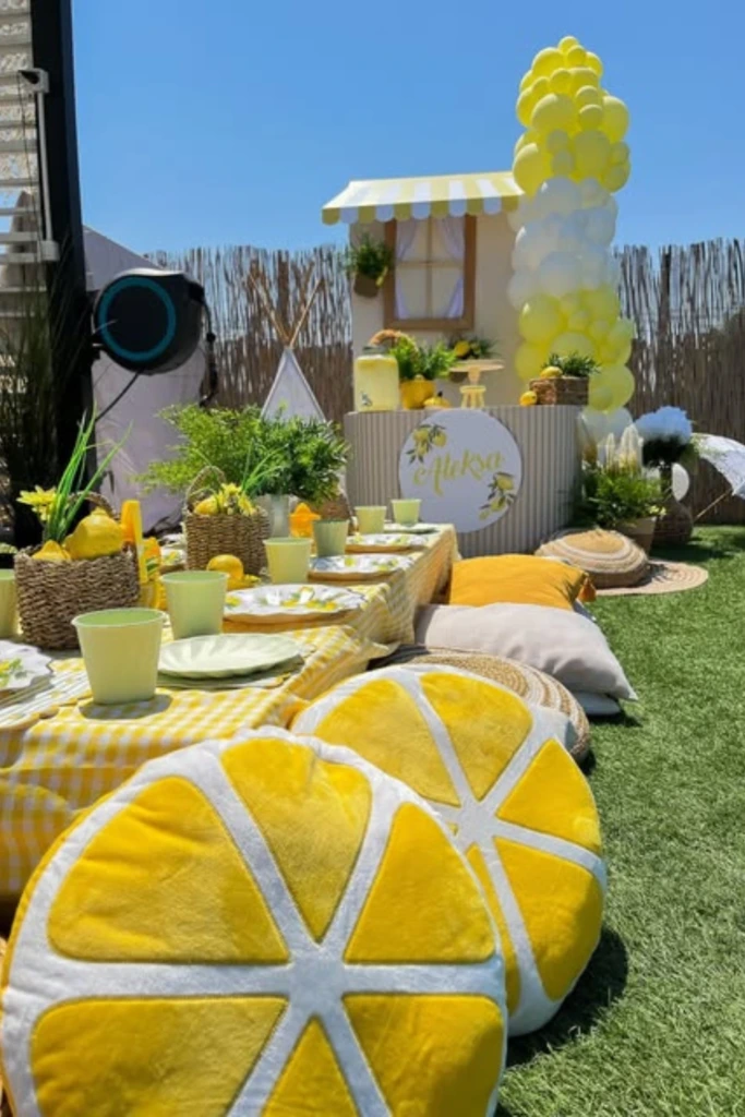 Picnic Setup
