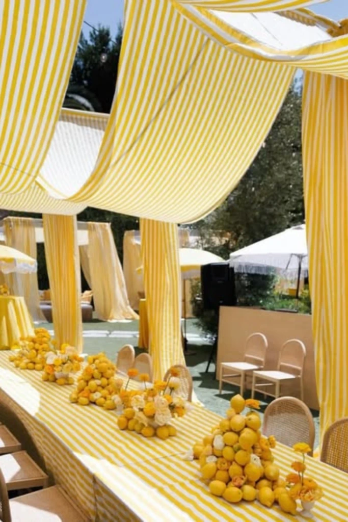 Draped Canopy