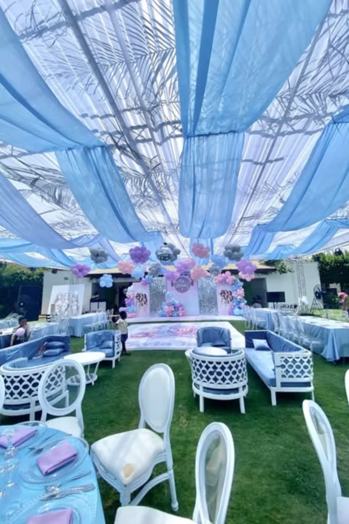Dreamy Canopy