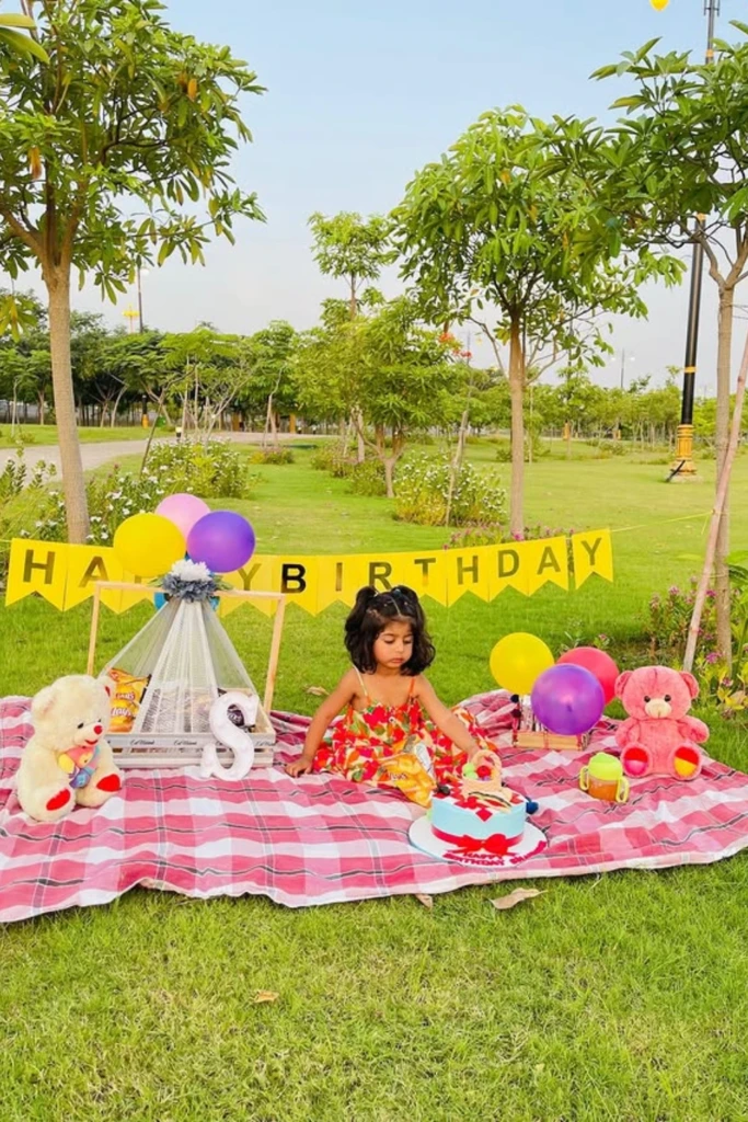 Birthday Picnic