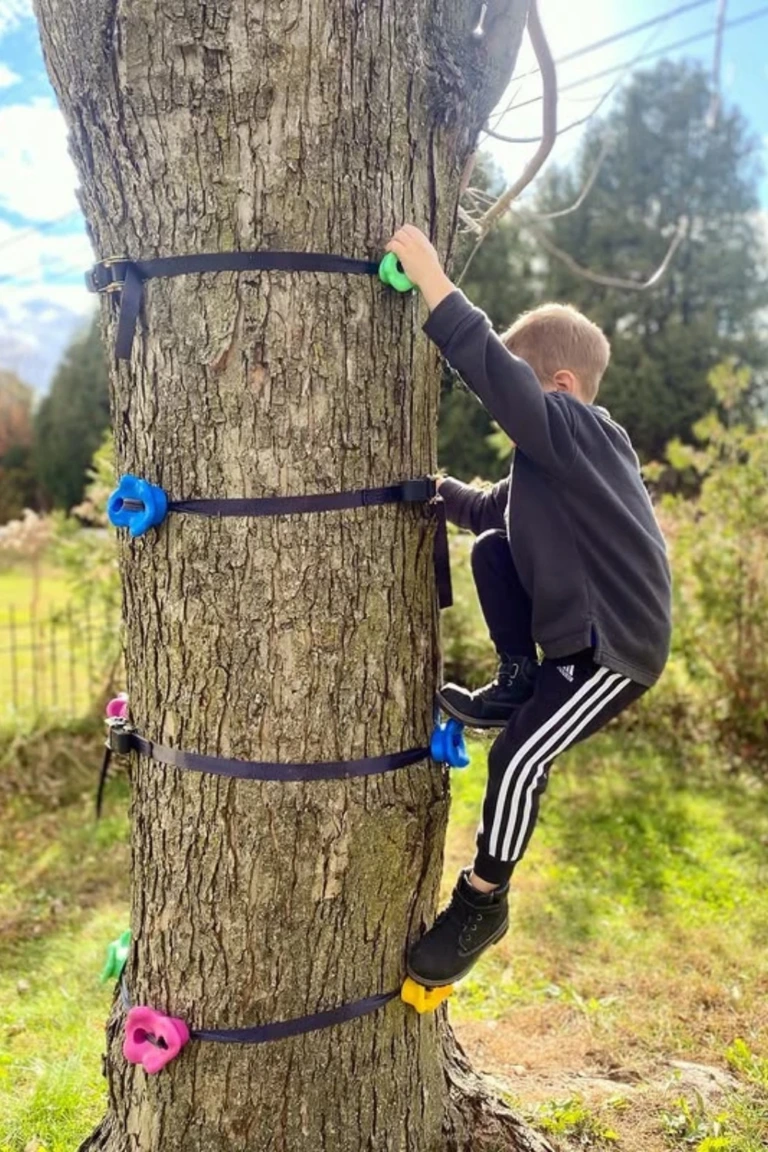 Tree Climbing Adventure