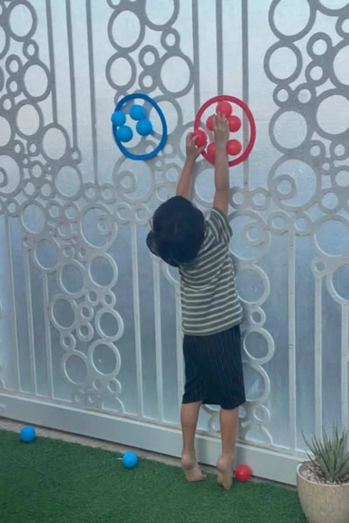 Target Toss Challenge