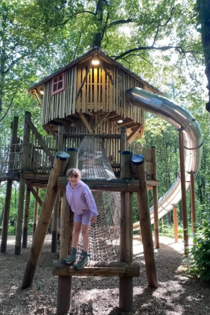 Forest Treehouse Adventure