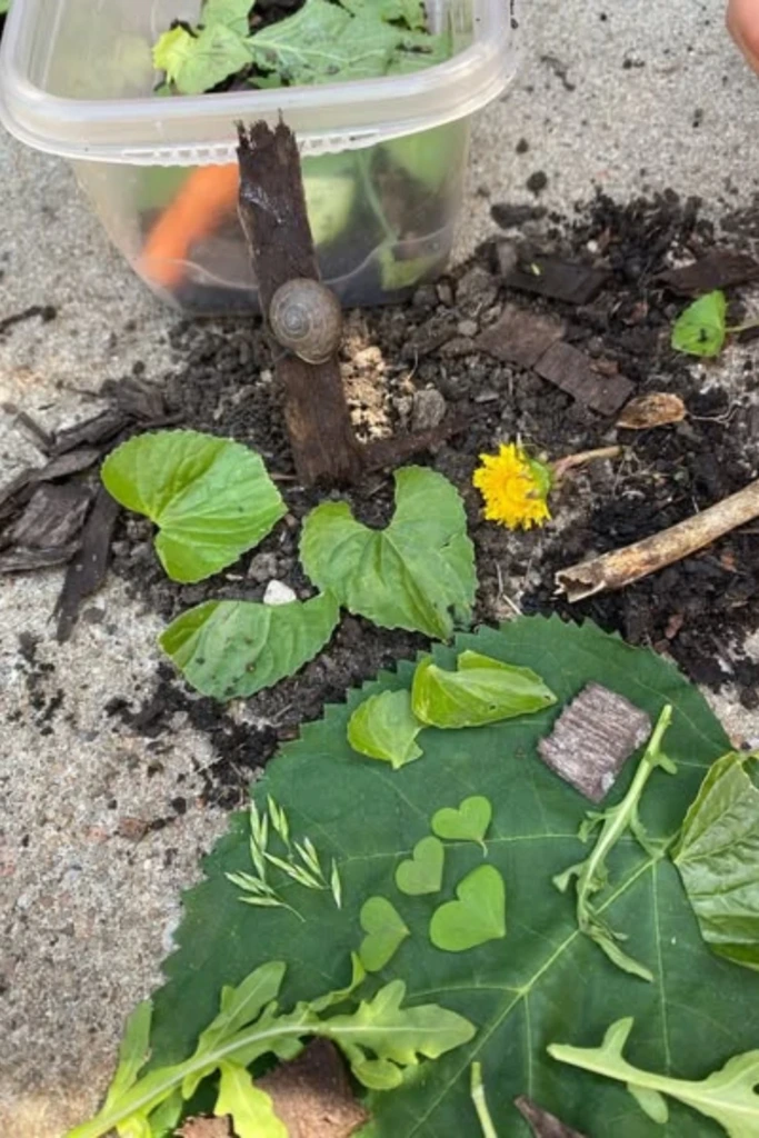 Nature Bug Habitat Craft