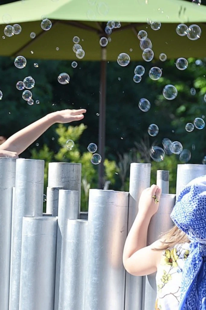 Bubble Chase Fun