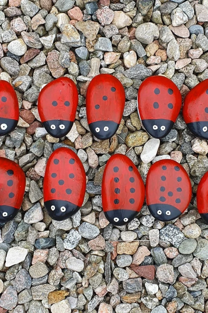 Ladybug Trail