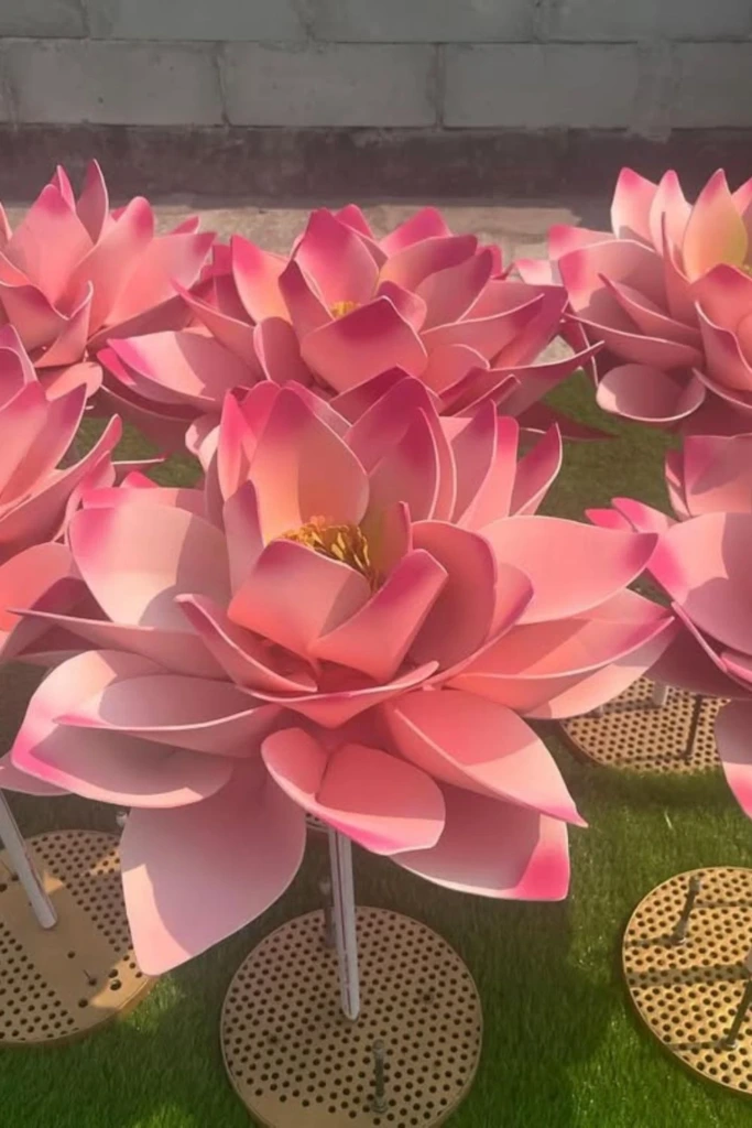 Lotus Garden Display