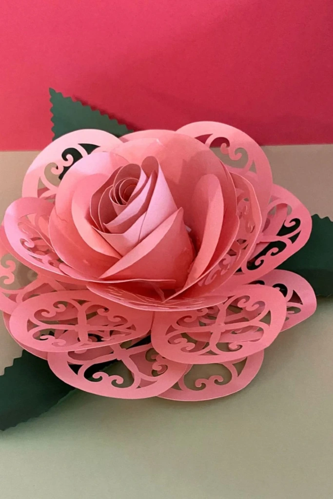Lacy Bloom Rose