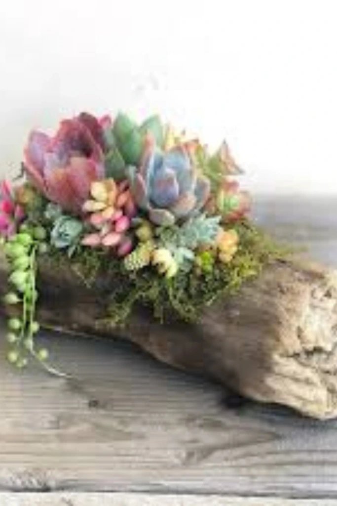 19. Driftwood Succulent Planter