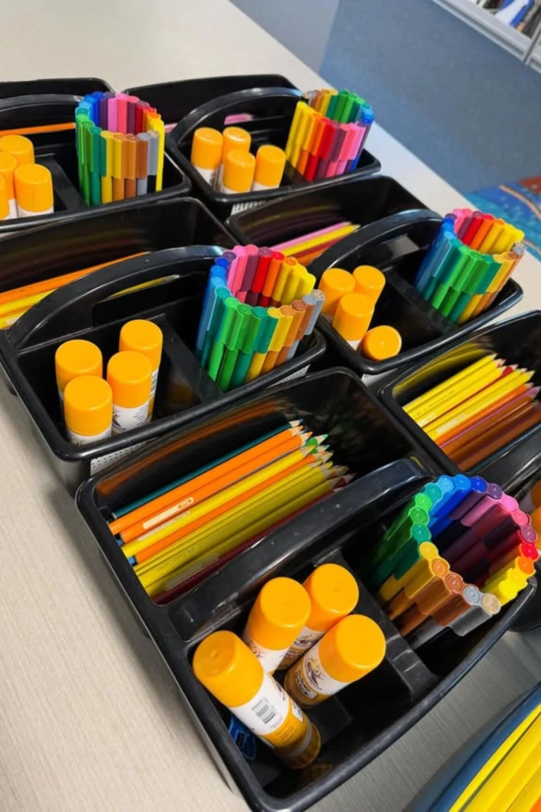 Tray Organizer