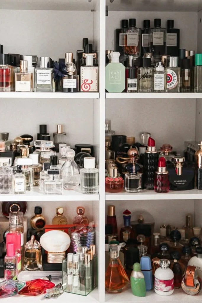 Cabinet Shelves
