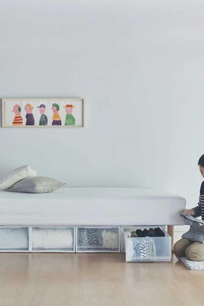 Underbed Storage