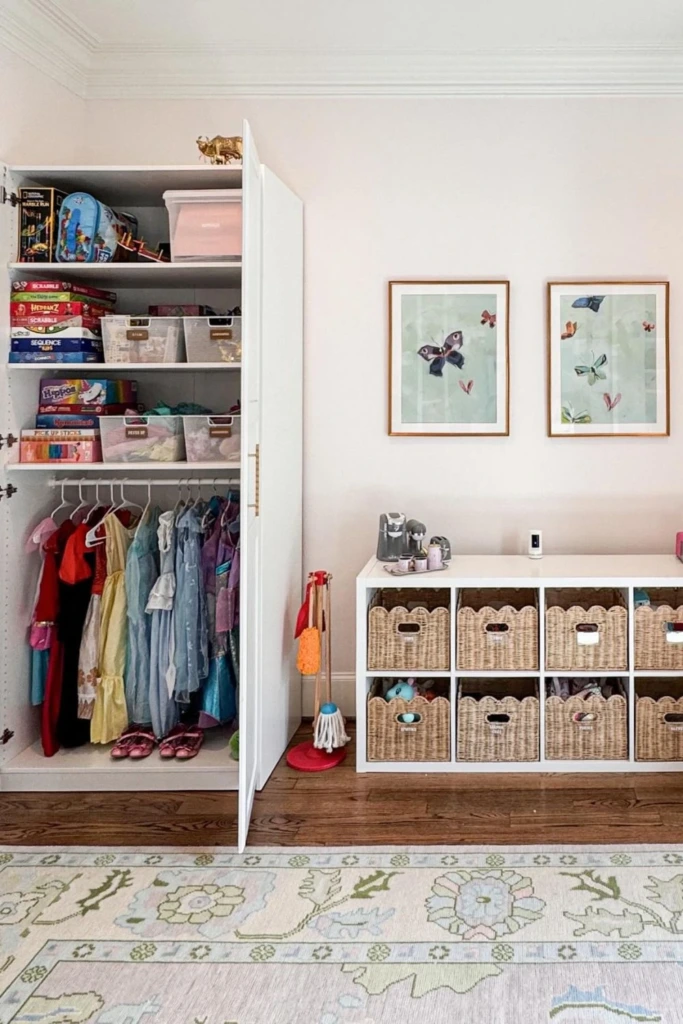 Closet Storage