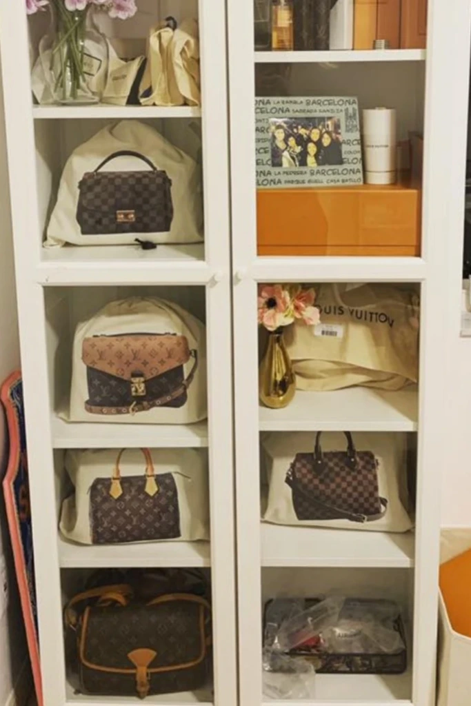 Glass Cabinet with Dust Bags
