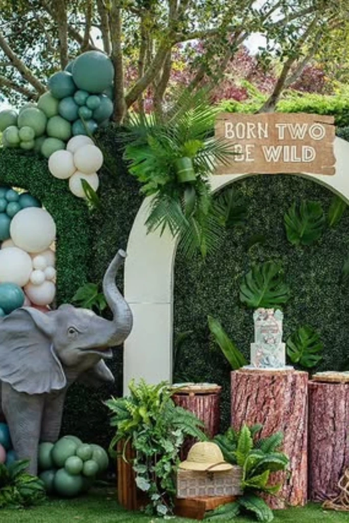 Safari Jungle Entry