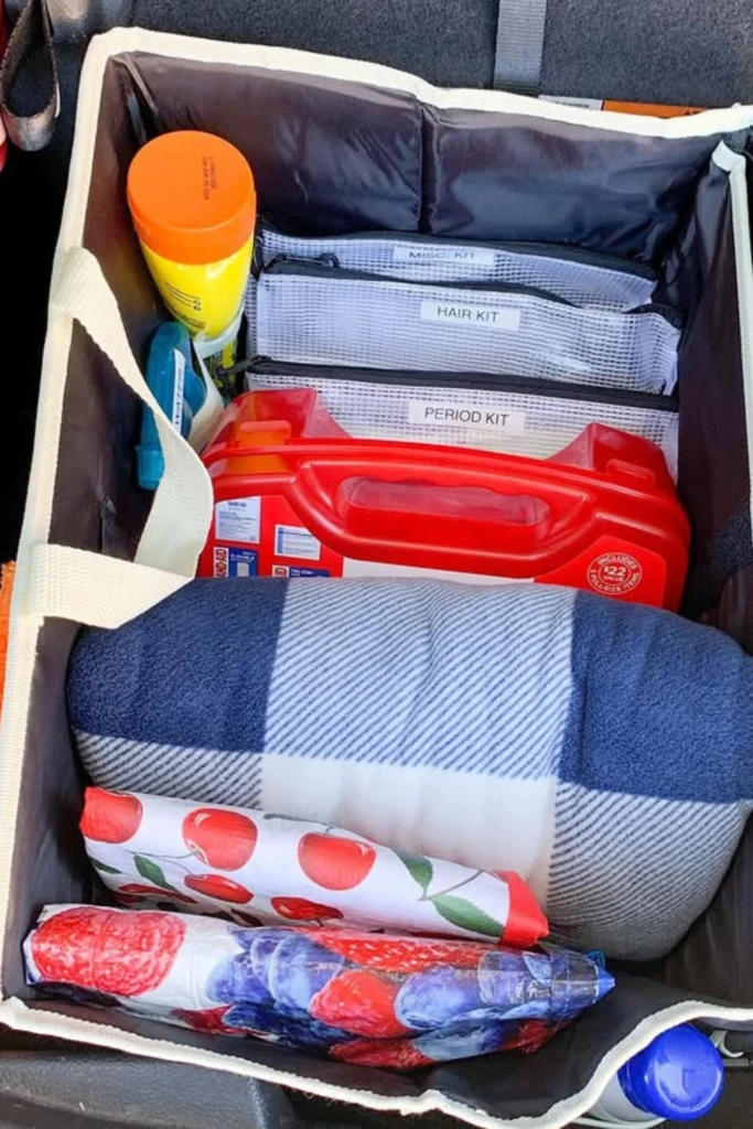 Emergency Ready Bin