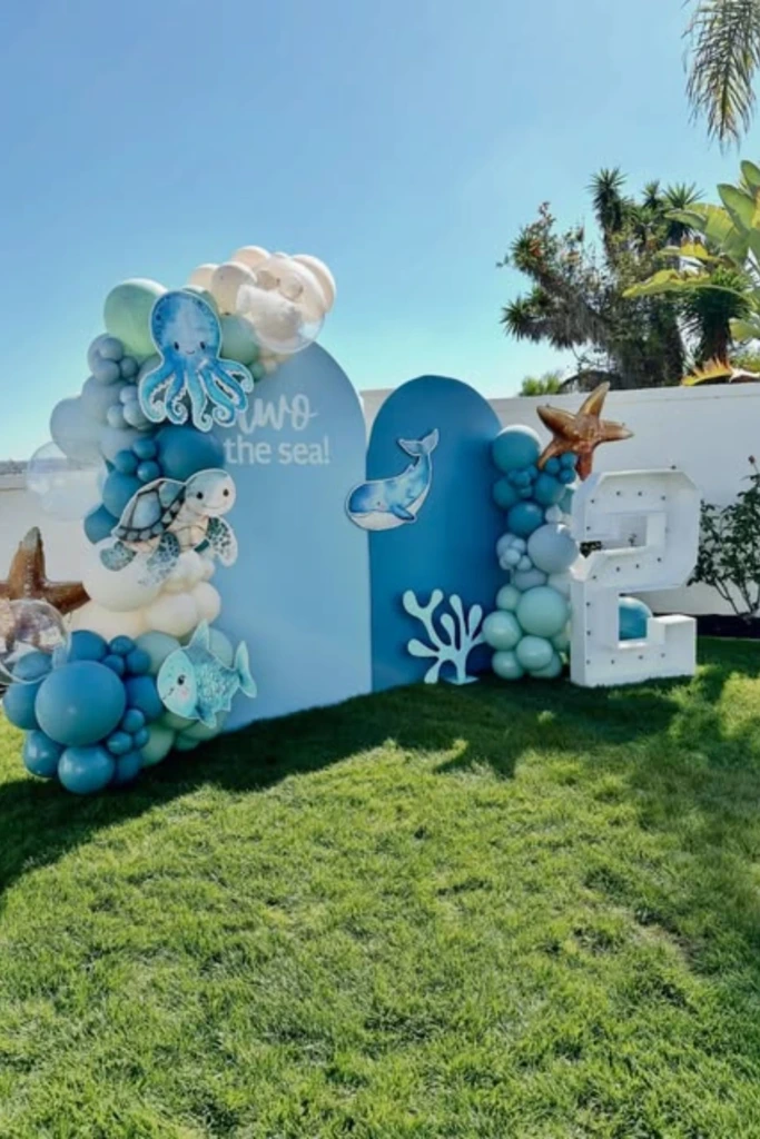 Outdoor Ocean Setup