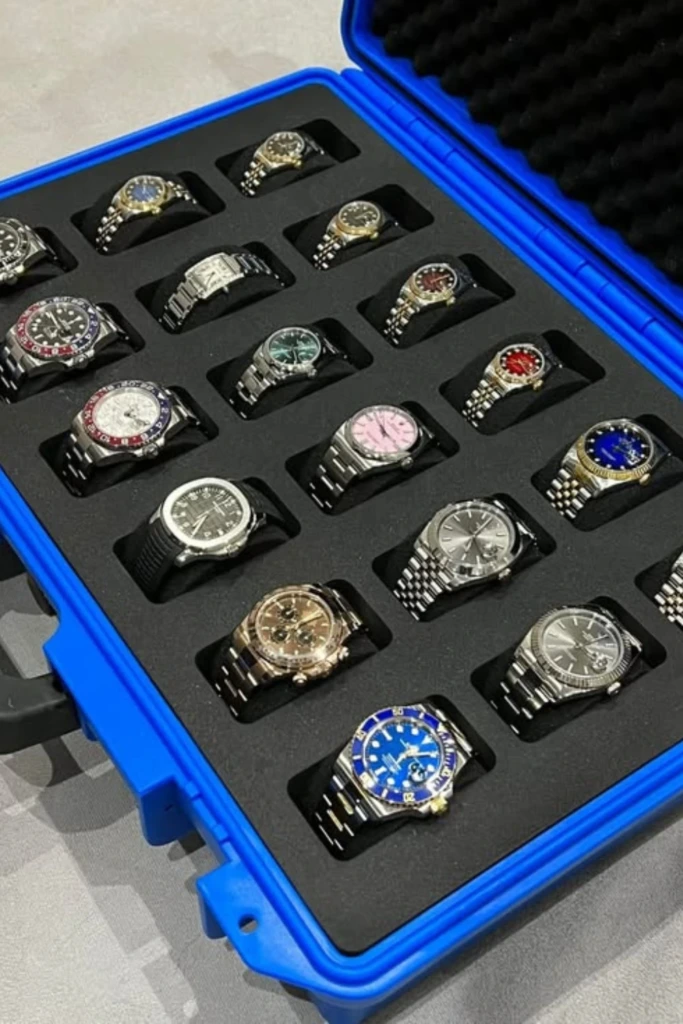 Travel-Ready Watch Case