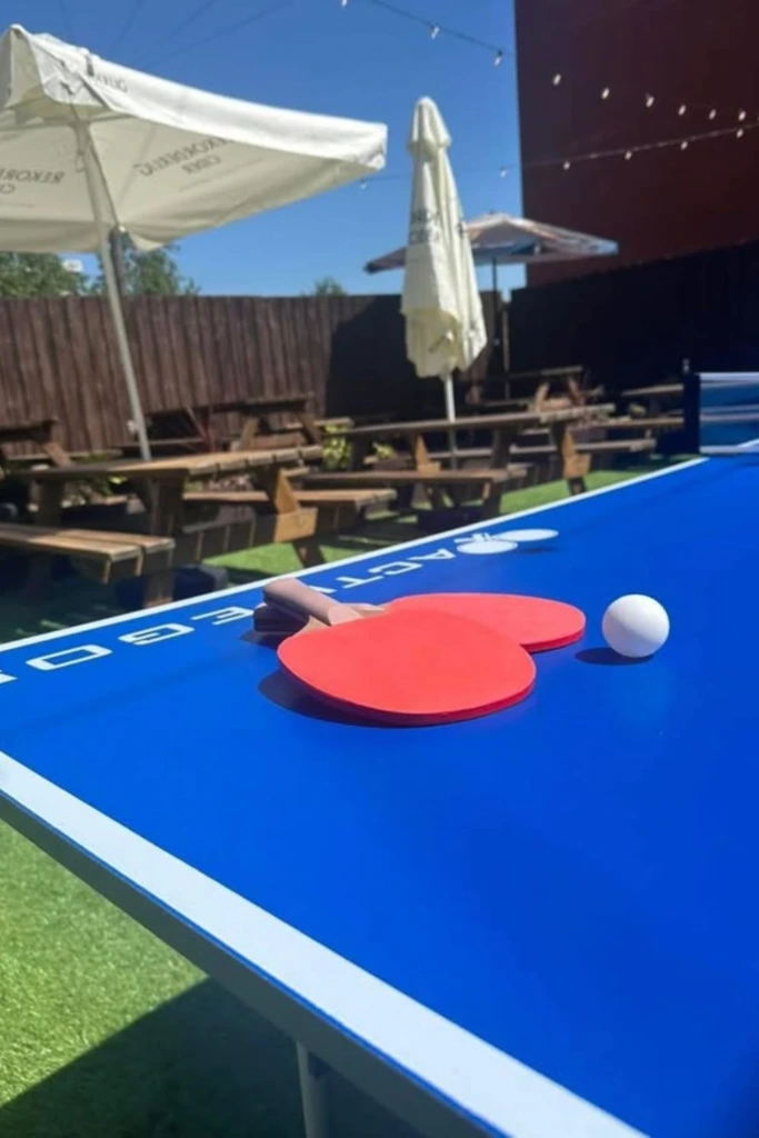 12. Outdoor Ping Pong